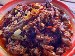 -柴窝堡22号辣子鸡·传承新疆菜