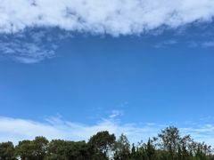 -春花秋色城市公园