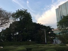 -九龙公园