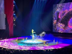 -水秀国际大剧院