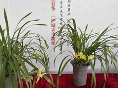 -南山植物园