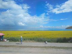 -青海湖国家重点风景名胜区