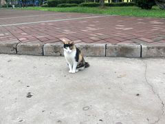 -长安大学(北校区)