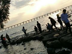 -宝安西湾红树林湿地公园