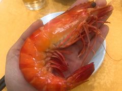 -蚝专家(北滘店)