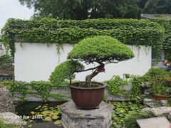 -水绘园