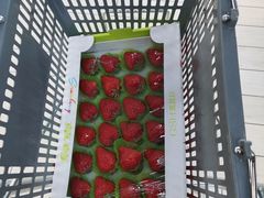 -果蔬好生活超市(乐堤港店)