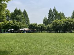-贡湖湾湿地公园