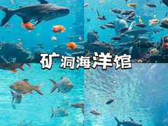 -长鹿旅游休博园