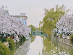 -得意楼蒸菜馆