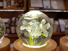 -二酉书店TOYOU BOOKS