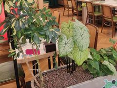 -南拳十三姨·潮汕砂锅粥·粤菜(西单大悦城店)