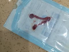 -伟伟宠物医院·CT影像中心·瑞派犬猫综合性门诊(汉口总院)