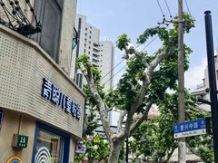 -青聪儿童眼镜(五官科医院宝庆路店)