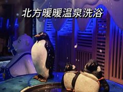 -北方暖暖温泉洗浴(沈阳北站店)
