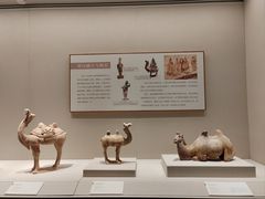 -深圳博物馆(古代艺术馆)