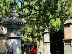 -大慈恩寺(大雁塔)