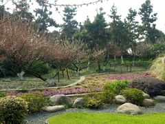 -荆川公园
