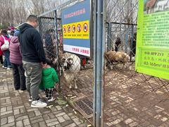 -长白岛森林公园