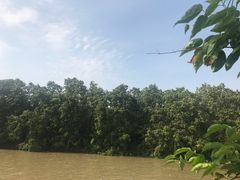 -大湾区中央湿地公园