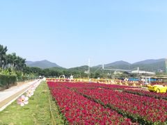 景点-盈香心动乐园