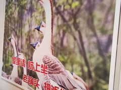 -锅老头海鲜铁锅炖
