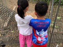 -美家乐农庄·露营·团建(大治路店)