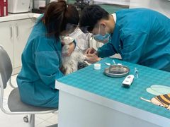 -欧奕国际动物医院