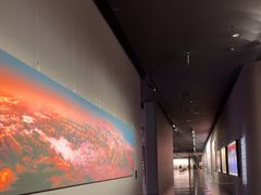 -罗红摄影艺术馆