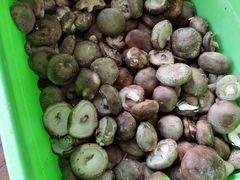 -南渝食府.石锅鸡(尚城花园店)