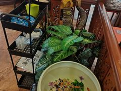 -荷花泰菜(东方新天地店)