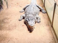 -西霞口神雕山野生动物世界