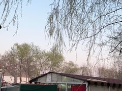 -尚庄度假村·庭台树下·户外烧烤·团建CS·轰趴营地(上庄水库店)