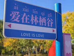 -林栖谷森林康养度假区