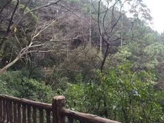 -三门江国家森林公园