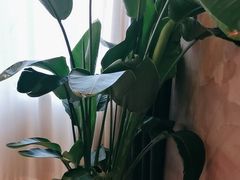 -恒悦轩·粤菜(上海展览中心店)