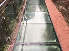 -雁荡山风景名胜区-小龙湫