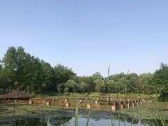 -西溪国家湿地公园