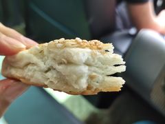 -老字号张道鸡火烧