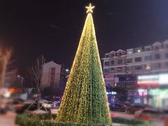 -高新活力汇Vitality