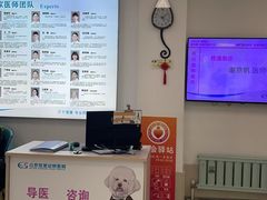 -北京观赏动物医院·24小时大型综合·猫专科·异宠专科