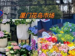 -溪岸路花鸟市场