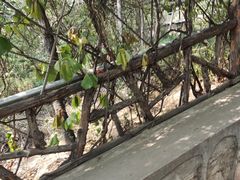 -蓟州溶洞风景区