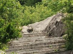 -涂山风景区