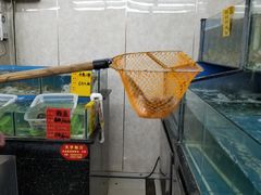水产区-渔民船说·北塘海鲜·天津菜·海肠捞饭(北塘古镇店)