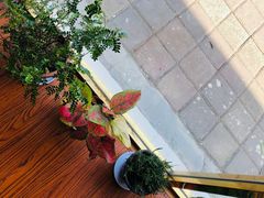 -糕小爱·动物奶油生日蛋糕定制(昆山总店)
