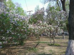 android_upload_pic-辽宁大学(崇山校区)