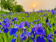 -汉长安城未央宫国家考古遗址公园