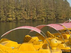 -上海海湾国家森林公园