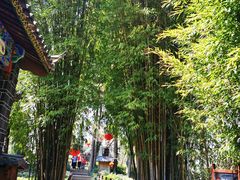 -黑龙潭公园